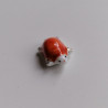 Tartaruga portafortuna rosso