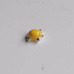 Tartaruga portafortuna giallo