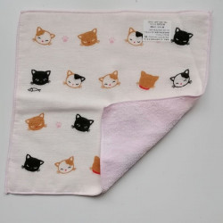 Asciugamanino per bimbi Gatti
