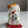 Gatto Manekineko zampa sinistra