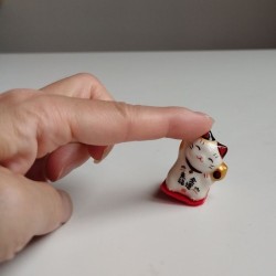 Piccolo ManekiNeko macchie -Buci