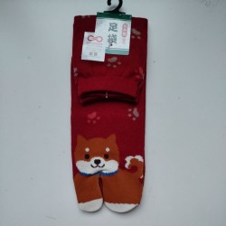 Calze 38-40 Cane Shiba