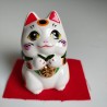 Gatto Manekineko occhi brillanti