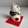 Gatto Manekineko occhi brillanti