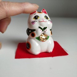 Gatto Manekineko occhi brillanti