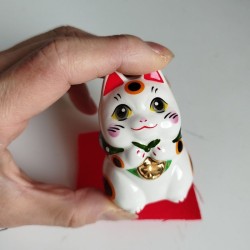 Gatto Manekineko occhi brillanti