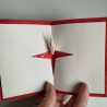 Washi Crane Card S