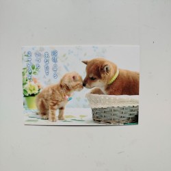 Postcard Cat and Dog