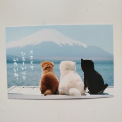 Postcard Cats and Mt.Fuji